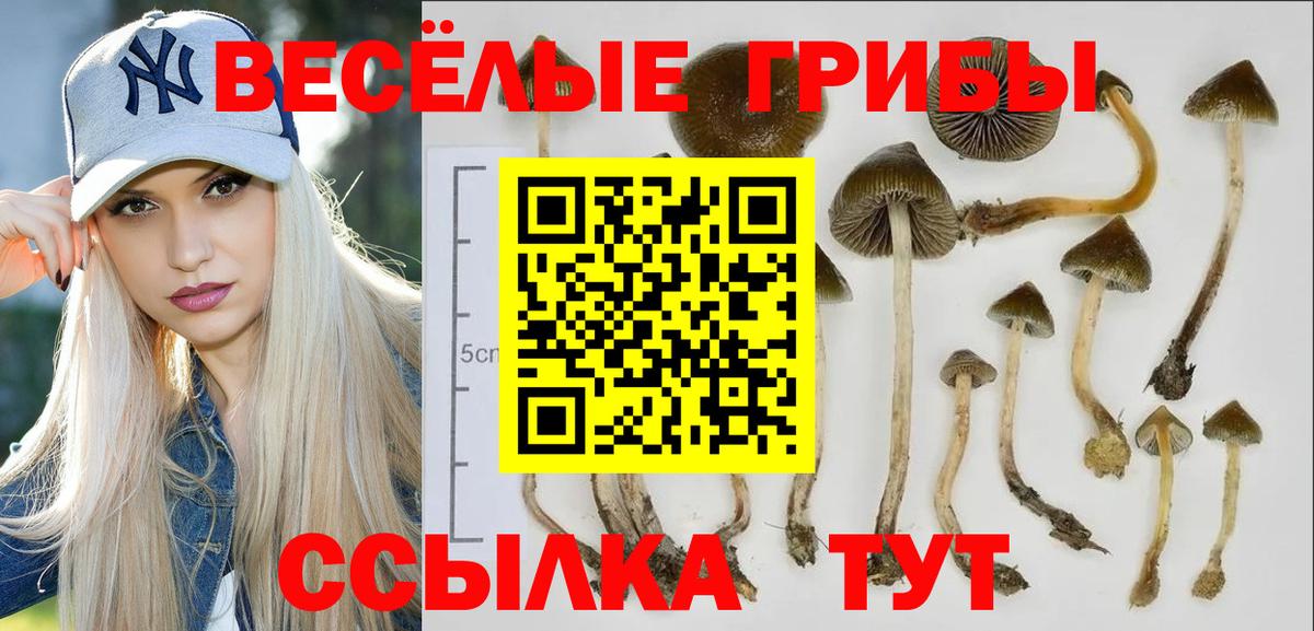Псилоцибиновые грибы MAGIC MUSHROOMS Ачхой-Мартан